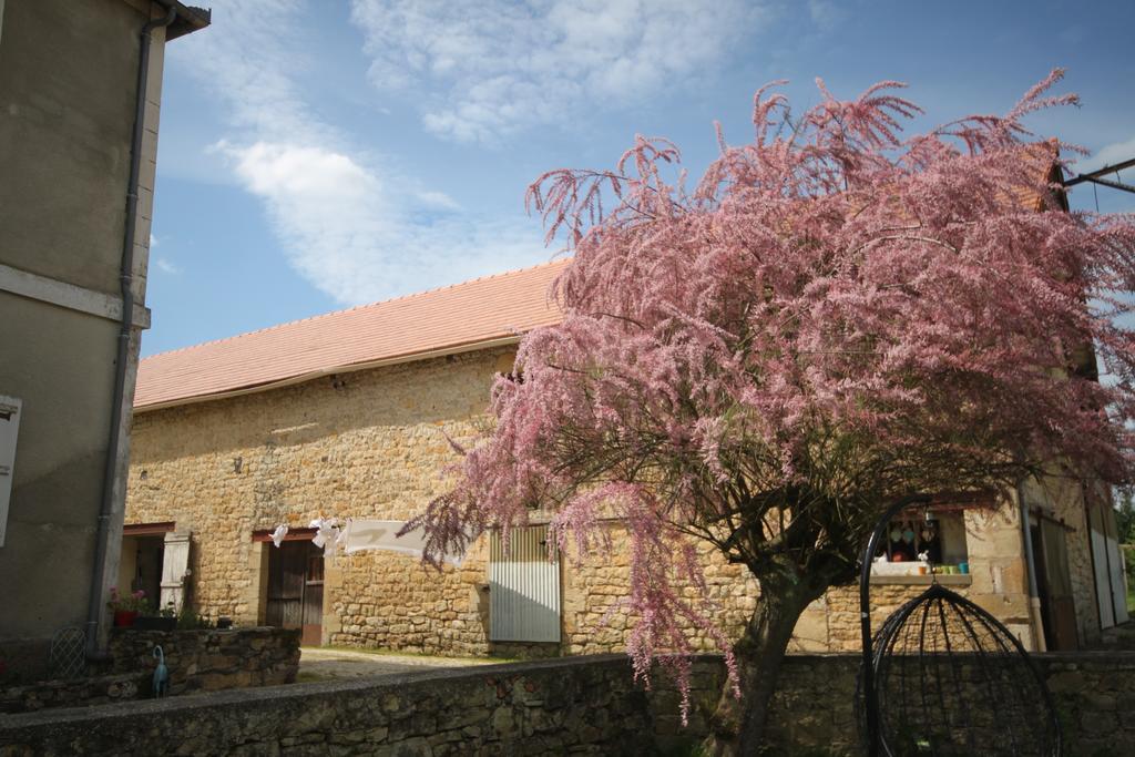 La Maison Du Bonheur Anlhiac Bagian luar foto