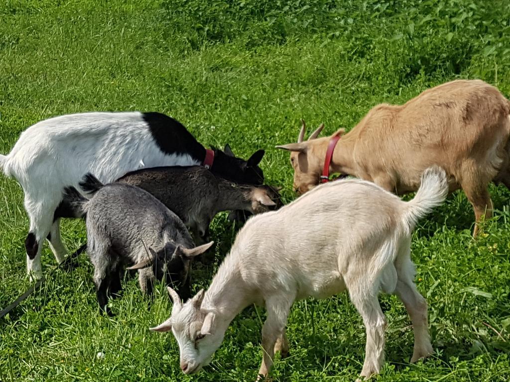 La Maison Du Bonheur Anlhiac Bagian luar foto